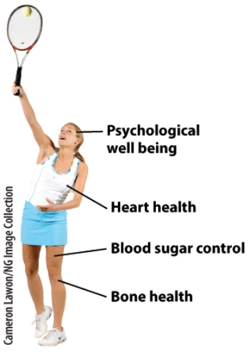 For each of the labels on this picture, indicate how exercise promotes health specific to the topic listed.