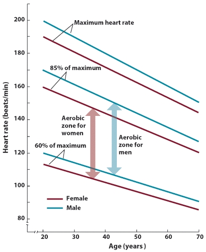 JD is a 23 year old male, and his target heart rate for exercise is 70% of his maximum heart rate. What is JD's maximum heart rate (beats per minute)? What is his target heart rate (beats per minute). Use the graph attached and plot JD's target heart rate. Is JD's target heart rate in the aerobic zone?