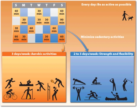 This diagram is an overview of the frequency of types of activities that are recommended to include in a fitness program. Josh is a 20 year old college student, who is interested in beginning a fitness program. For each section in this graph, provide an overview of the goal for each section and the types of activities that Josh can do to meet each goal.