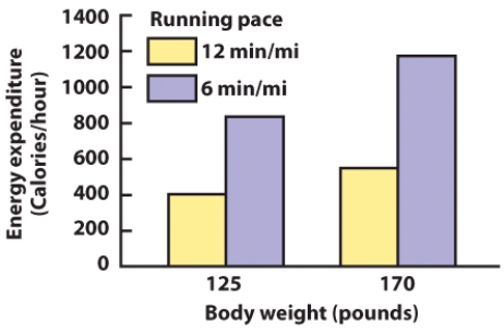 Based on the content of this visual, identify 2 factors that affect energy expenditure and how those factors interact.