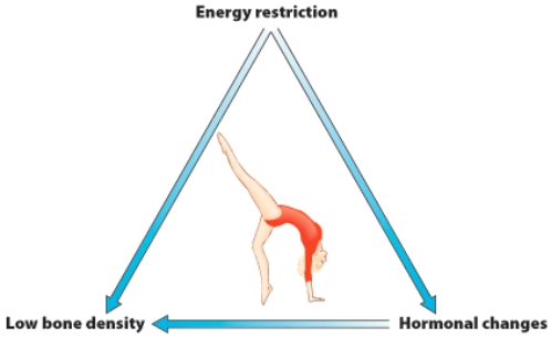Explain the interrelatedness of three points of the Female Athlete Triad.