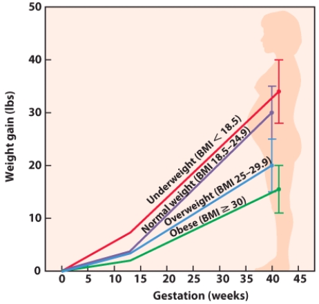 <strong>Based on this visual, the weight gain recommendations for women vary most during the _____ trimester. </strong> A) first B) second C) third