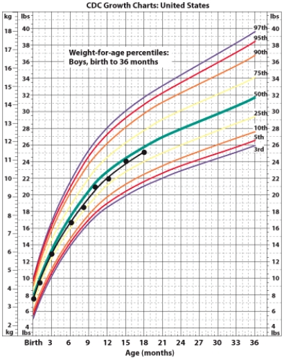 <strong>This graph charts the growth rate of the infant. Which of the following is the correct interpretation of the information provided in this graph? </strong> A) The infant's birth weight is much higher than the general population. B) The infant had weight gain that was much greater than expected from 15 to 18 months of age. C) The infant's birth weight is lower than the general population and has remained at this percentile into childhood. D) This infant experienced catch-up growth between 3 and 6 months of age.