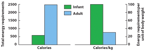 <strong>Based on the information presented in this graphic, which of the following statements is FALSE? </strong> A) The total amount of energy required by a newborn is less than the amount needed by adult. B) An infant's need for calories per kilogram of body weight is greater than those needed by an adult. C) An infant's need for calories per kilogram of body weight is less than those needed by an adult. D) The total amount of energy needed by an adult is greater than that needed by an infant.