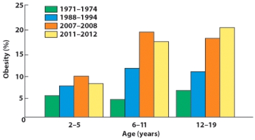 <strong>In 2007-2008, children aged ____ had the highest percentage of obese children.  </strong> A) 2-5 years B) 6-11 years C) 12-19 years <div style=padding-top: 35px> 