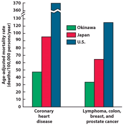 <strong>These results most likely came from ____ studies.  </strong> A) animal B) biochemical C) clinical trial D) epidemiological <div style=padding-top: 35px> 
