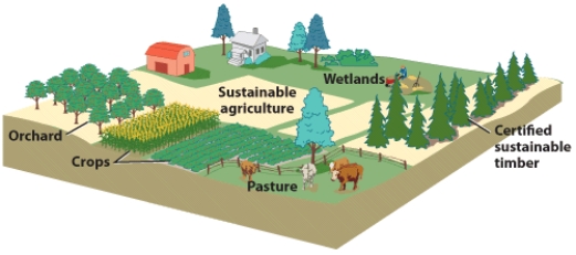 This picture illustrates a sustainable farm. Answer the following questions: What is a sustainable farm? How does growing a different crop in a field each year, having both crops and livestock, and including biological diversity in crops and animals, each promote the sustainable farm concept?