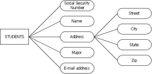 For the following diagram, which item is the entity?  