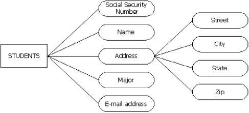 <strong>For the following entity and attribute model, what would be the key attribute of the Students entity? </strong> A) social security number B) name C) address D) street