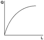 <strong> With a quadratic production with fixed capital Q = A + BL + CL<sup>2</sup> and the shape shown above,A is</strong> A)positive and greater than B. B)positive and less than B. C)zero. D)negative.