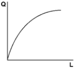 <strong> With a quadratic production with fixed capital Q = A + BL + CL<sup>2</sup> and the shape shown above,B is</strong> A)positive. B)zero. C)negative and less than C. D)negative and greater than C.