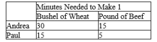 Table 3-4 Assume that Andrea and Paul can switch between producing wheat and producing beef at a constant rate. -Refer to Table 3-4. Which of the following combinations of wheat and beef could Andrea produce in one 8-hour day?