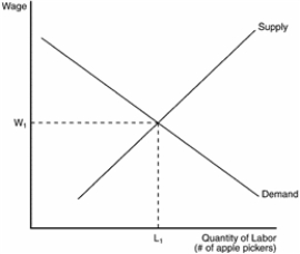 Figure 18-9 -Refer to Figure 18-9. If the price of apples increases, the