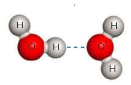 <strong>Figure 2.9B   The dashed line in the accompanying figure represents a(n) ____.</strong> A) ​covalent bond B) ​ionic bond C) ​hydrogen bond D) ​polar covalent bond E) ​hydrophobic interaction <div style=padding-top: 35px> 