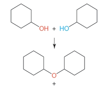 <strong> The figure above illustrates a ____ reaction that produces one ____ and a ____.</strong> A) condensation; hydroxyl; polymer B) condensation; water molecule; polymer C) cleavage; water molecule; monomer D) rearrangement; water molecule; polymer E) rearrangement; hydrogen ion; polymer