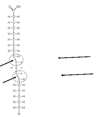 -In the figure above, the honeycomb on which the bee is standing is made up primarily of ____.