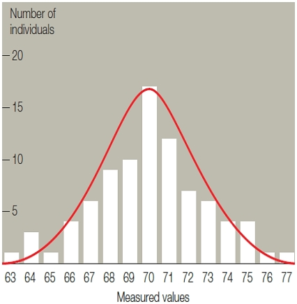 <strong>Figure 13.17 A graph of phenotypic variation similar to the accompanying illustration strongly suggests</strong> A) incomplete dominance. B) codominance. C) epistasis. D) polygenic inheritance. E) environmental effects on phenotype.