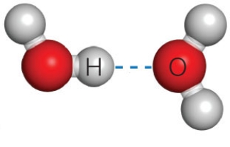 Figure 2.11B -The dashed line in the accompanying figure represents a(n)____.