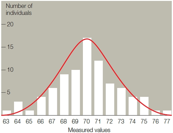 <strong>Figure 13.15 A graph of phenotypic variation similar to the accompanying illustration strongly suggests </strong> A) incomplete dominance. B) codominance. C) epistasis. D) polygenic inheritance. E) environmental effects on phenotype.
