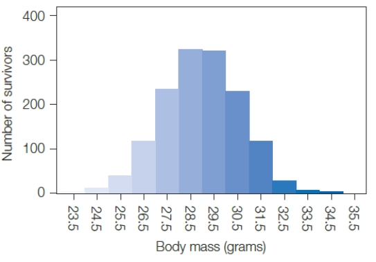 <strong>Figure 17.9 The graph above shows the survival of sociable weavers as a function of body mass.Sociable weaver body mass seems to be an example of ____. </strong> A) directional selection B) stabilizing selection C) sexual selection D) disruptive selection E) artificial selection