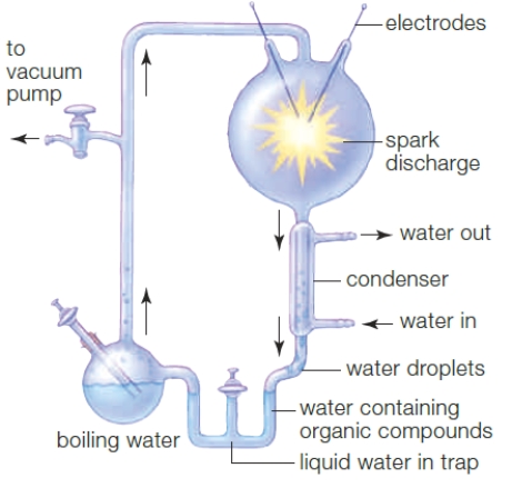 <strong> The apparatus in the accompanying figure was used in the primitive Earth atmosphere simulation experiments performed by </strong> A) Stanley Miller and Harold Urey. B) Günter Wächtershäuser. C) Australian researchers. D) Kwang Jeon. E) Francis Crick and James Watson.