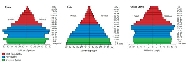 <strong> Figure 44.14 The following question refers to the age structure diagrams above. Which statement reflects the age structure of these three countries? </strong> A) India has the greatest proportion of older adults. B) The United States has the greatest proportion of young people. C) India has the greatest proportion of young people. D) China has the greatest proportion of young people. E) China has the greatest proportion of older adults.