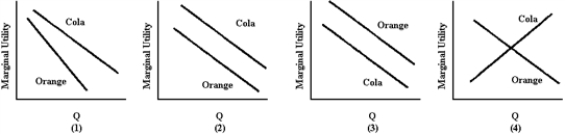 <strong>Figure 5-1 Americans choose cola over other flavors 70 percent of the time.Analysts say this is because cola's flavor is more robust and durable.Orange soda, for example, suffers from flavor fatigue faster than cola.Also, because cola contains caffeine, people may be addicted to the stimulant.Which panel in Figure 5-1 best illustrates these facts?</strong> A)1 B)2 C)3 D)4