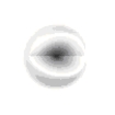 <strong>Which of the following is a representation of a 1s orbital?</strong> A) B) C) D) E)