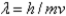 <strong>The Pauli exclusion principle states that</strong> A)the wavelength of a photon of light times its frequency is equal to the speed of light. B)no two electrons in the same atom can have the same set of four quantum numbers. C)both the position of an electron and its momentum cannot be known simultaneously very accurately. D)the wavelength and mass of a subatomic particle are related by   . E)an electron can have either particle character or wave character. <div style=padding-top: 35px> 