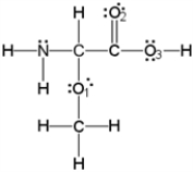 <strong>What is the molecular geometry around oxygen atom O<sub>1</sub>? ​  </strong> A)bent B)tetrahedral C)see-saw or distorted tetrahedral D)trigonal planar E)T-shaped <div style=padding-top: 35px> 