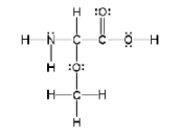 <strong>How many sigma and pi bonds are in the molecule pictured below?  </strong> A)thirteen sigma bonds and one pi bond B)eleven sigma bonds and two pi bonds C)thirteen sigma bonds and two pi bonds D)eleven sigma bonds and five pi bonds E)five sigma bonds and eleven pi bonds <div style=padding-top: 35px> 