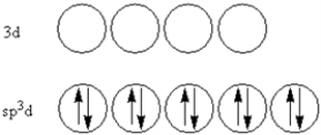 <strong>According to valence-bond theory,what is the hybridization scheme of the sulfur atom in SF<sub>4</sub>?</strong> A)   B)   C)   D)   E)   <div style=padding-top: 35px> 