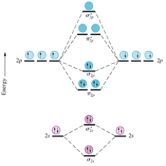 Consider the following series of molecular ions and molecules: F<sub>2</sub><sup>+</sup>,F<sub>2</sub><sup>2+</sup>,F<sub>2</sub>,and F<sub>2</sub><sup>-</sup>.Which will have the shortest bond length between the fluorine atoms? Assume the homonuclear molecular orbital diagram provided below for nitrogen (excluding the K shells)still applies to these species.