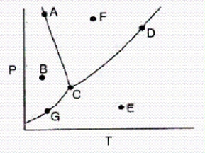 <strong>In the accompanying phase diagram,a liquid can be present at combinations of temperature and pressure corresponding to points </strong> A)A,C,G,and D. B)A,C,D,and F. C)A,B,C,and G. D)A and C only. E)G,C,D,and E.