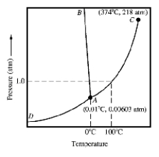<strong>Given the accompanying phase diagram,under what conditions will solid be found in equilibrium with either liquid or gas? </strong> A)Anywhere along curve AB. B)Anywhere along curve AC. C)Anywhere along curve AD. D)Anywhere along curve AB and AD. E)Anywhere along curve AC and AD.