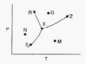 <strong>Below is a phase diagram for a substance. Which line represents the vapor-pressure curve of the substance?</strong> A)S-Z B)X-Z C)S-X D)M-N E)R-X