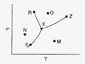 <strong>Below is a phase diagram for a substance. What is the name for point Z on the diagram?</strong> A)normal boiling point. B)critical point. C)melting point. D)boiling point. E)triple point.