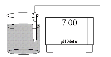 <strong>Which of the following salts is most likely to form an aqueous solution having the pH shown in the figure below? </strong> A)Na<sub>2</sub>CO<sub>3</sub> B)RbF C)NH<sub>4</sub>Cl D)Zn(NO<sub>3</sub>)<sub>2</sub> E)KCl