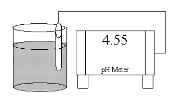 <strong>Which of the following salts is most likely to form an aqueous solution having the pH shown in the figure below? </strong> A)NH<sub>4</sub>Cl B)NaBr C)K<sub>2</sub>CO<sub>3</sub> D)RbCN E)LiNO<sub>3</sub>