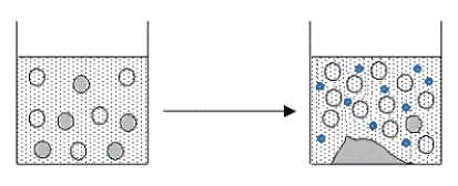 <strong>The figure below represents the result of adding which of the following aqueous solutions to a filtered,saturated solution of AgCl?  </strong> A)only NaCl(aq) B)only HNO<sub>3</sub>(aq) C)HCl(aq)or NaCl(aq) D)only HCl(aq) E)HCl(aq)or HNO<sub>3</sub>(aq) <div style=padding-top: 35px> 