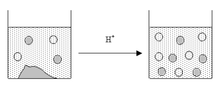 The figure below represents the results of adding a strong acid to a saturated solution of an ionic compound.Which of the following could be the ionic compound?  