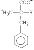 The side chain on the amino acid phenylalanine is classified as
