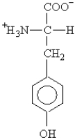 The side chain on the amino acid tyrosine is classified as