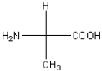<strong>Which of the following amino acids has a hydrophobic side chain?</strong> A) B) C) D) E)