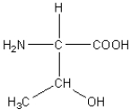 <strong>Which of the following amino acids has a hydrophobic side chain?</strong> A) B) C) D) E)