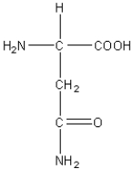 <strong>Which of the following amino acids has a hydrophobic side chain?</strong> A) B) C) D) E)