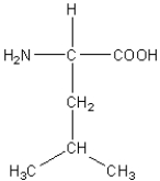 <strong>Which of the following amino acids has a hydrophilic side chain?</strong> A) B) C) D) E)
