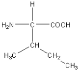 <strong>Which of the following amino acids has a hydrophilic side chain?</strong> A) B) C) D) E)