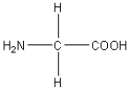 <strong>Which of the following amino acids has a hydrophilic side chain?</strong> A) B) C) D) E)
