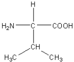 <strong>Which of the following amino acids has a hydrophilic side chain?</strong> A) B) C) D) E)